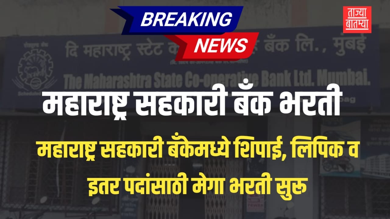 MSC Bank Bharti 2025